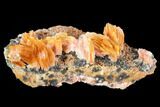 Pink and Orange Bladed Barite Flowers On Galena #103700-1